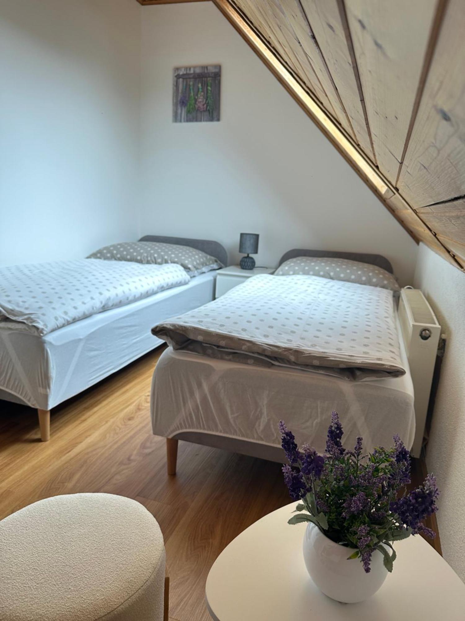 Apartman Jako U Babicky Tisá エクステリア 写真